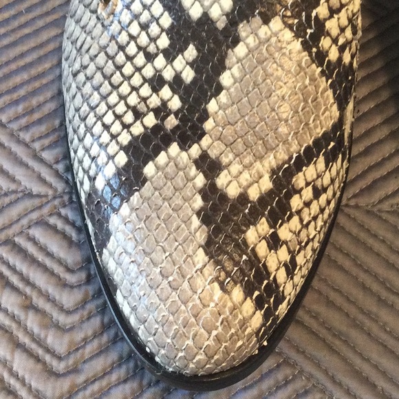 Aquatalia size 9.5 gray and black snake leather loafers for women - Picture 3 of 8